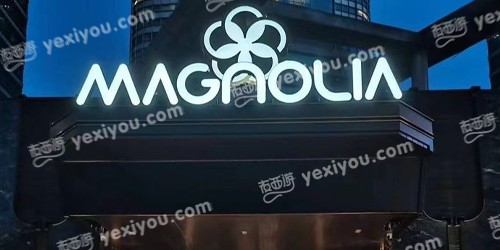 MAGNOLIA KTV会客厅(金玉兰广场店)