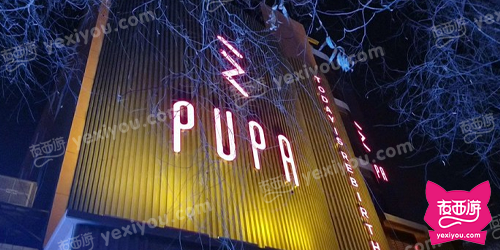 PUPA CLUB